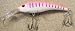 JLVLures JLV Lures Curved Minnow Freshwater Diver Pink Tiger : Walleye Sauger Pike Bass Steelhead Crankbait Deep Troll Tantalizing Curve Body Wobble Kicking Rattle Rattling Trolling Casting Cast Treble Bronze Hook Darting Structure Fishing Gravel Bottom Rock Stump