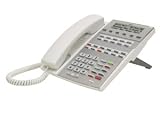 PHONE DSX 22Button Display WH