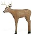 Delta Intruder Buck Target