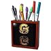 Snakes - Ball Python - Tile Pen Holders-5 inch tile pen holder