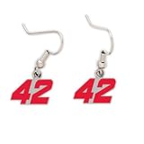 JUAN PABLO MONTOYA OFFICIAL NASCAR LOGO EARRINGS