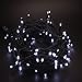 White LED Multi-Function Christmas Lights