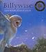Billywise
