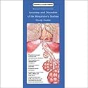 Anatomical Chart Company's Illustrated Pocket Anatomy Respiratory System Pocket Guide (In stock)