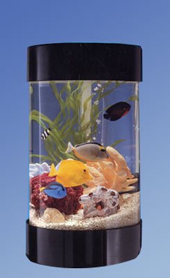 Midwest Tropical AquaRound Aquarium