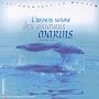 L'Univers Sonore Des Animaux Marins ~ Christian Gence