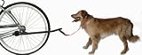 Pyramid Bicycle Dog Leash