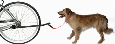 Buy Pyramid Bicycle Dog Leash by Pyramid