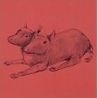 Early Recordings by Quasi