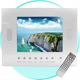 Waterproof LCD Monitor + Remote System - NTSC