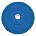 35 LB Solid Rubber Weight Plate BLUE