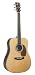 Recording King Classic Series Dreadnought Acoustic Guitar with Abalone, Solid Rosewood Back & Sides