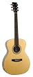 Recording King Classic Series I OOO-Style Acoustic Guitar (Rosewood)