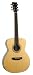 Recording King Classic Series I OOO-Style Acoustic Guitar (Rosewood)