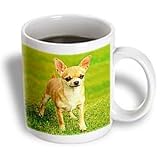 Dogs Chihuahua - Chihuahua - Mugs