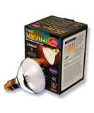 T-Rex - Ampoule ACTIVE UV HEAT FLOOD 100 watts