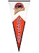 Golden State Warriors Classic Pennant