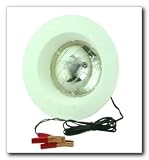 Brinkmann Fish Attractor Light
