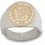 Arizona Diamondbacks 10kt Gold Tone