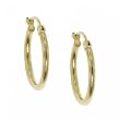 10K Gold Hoop Earrings with Hinge Back