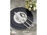 Review Ricci Flatware 60017 / Ricci Argentieri Rialto Carving Set 2-pc.