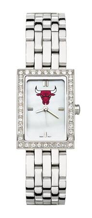Chicago Bulls Women's Steel Band Allure Watch