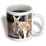 Wild animals - Red Kangaroo - Mugs