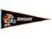 Arizona Rattlers Traditons Pennant