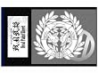 戦国武将リアルペイントシート『伊達政宗』ホワイト&シルバー