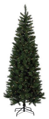 Greenfields Phoenix Slim Tree (KTWO507241ACE)