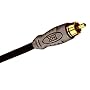 Subwoofer Cable-25 Feet