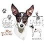 Rat Terrier Adult Long Sleeve T-Shirt