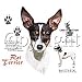 Rat Terrier Adult T-Shirt