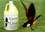 Goose Chase Liquid Bird Repeller, Gallon