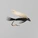 Barbless Fly - Black Gnat