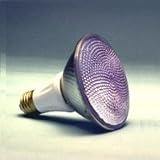 Tools & Hardware : PAR 30 Longneck Day Light Flood, 75 Watt