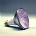 Tools & Hardware : PAR 30 Longneck Day Light Flood, 75 Watt