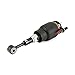 Arnott AS-2139 Air Strut