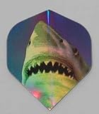 3 sets SHARK Holographic Standard flights