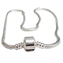 LovingtheBead &copy; Charm Bracelet for Slide-On, Slide-off Charms & Beads
