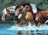 Reeves 12-Inch by 16-Inch Paint by Number Artists Collection, Heading Upstream