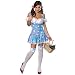 Wizard Of Oz Secret Wishes Dorothy Costume
