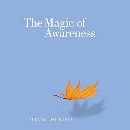 The Magic of Awareness