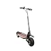 GoPed ESR750H Li-Ion Hoverboard 24 Electic Scooter (Black, Large)