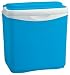 Kitchen & Housewares : Icetime Cool Box 30L