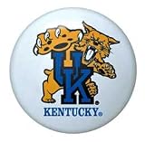 Kentucky Wildcats Drawer Pull **