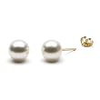 HinsonGayle Handpicked AAA 8.0-9.0mm White Australian South Sea Cultured Pearl Stud Earrings (14K Yellow Gold)