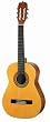 Jasmine by Takamine JS441 Acoustic Guitar Pack