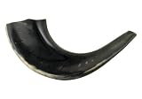 11-12 Kosher Black Rams Horn Polished Shofar Made in Israel