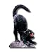 Angry Black Cat